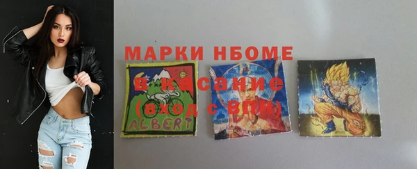 твердый Абаза