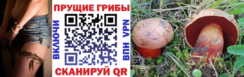 Галлюциногенные грибы мицелий Нижневартовск